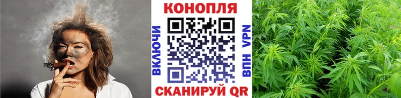 Бошки марихуана гибрид купить наркоту Мостовской